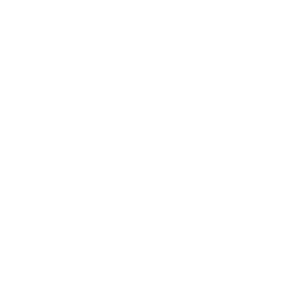 Whatsapp icon weiss